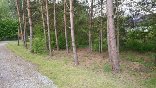 Działka 1141 m2 w LESZNOWOLA