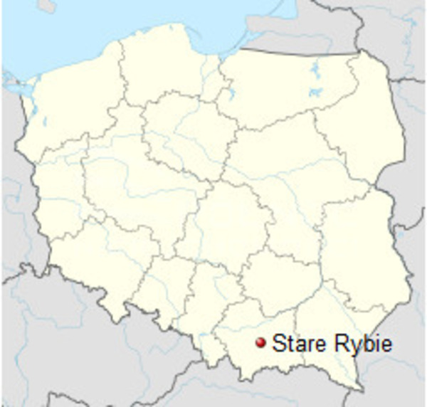 Działka 63500 m2 w LIMANOWA