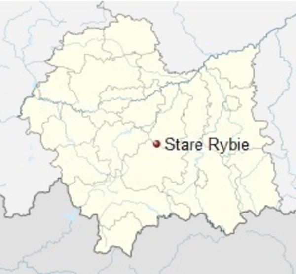 Działka 15800 m2 w LIMANOWA