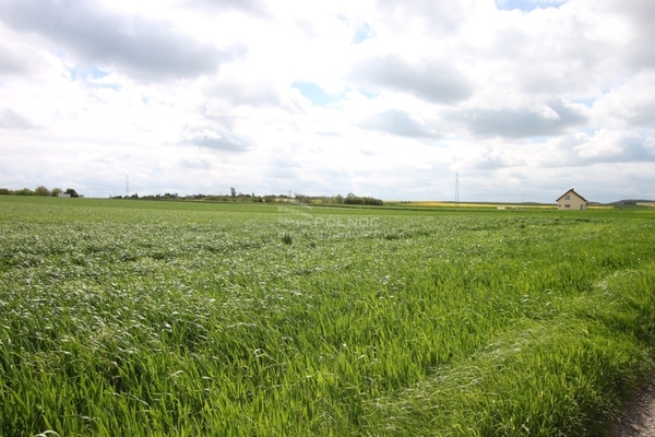 Działka 9882 m2 w GŁOGÓW