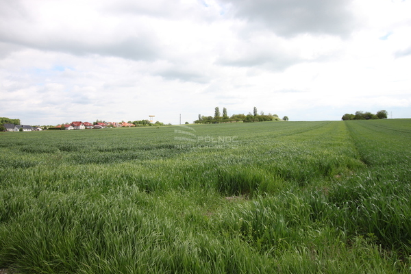 Działka 9882 m2 w GŁOGÓW