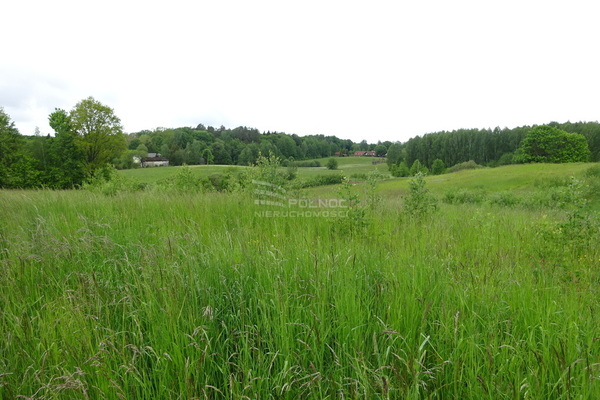 Działka 3046 m2 w SORKWITY