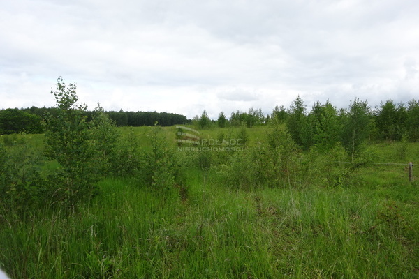 Działka 3046 m2 w SORKWITY