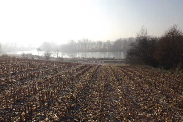 Działka 10308 m2 w OSIEK