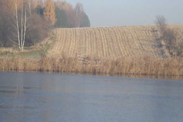 Działka 10308 m2 w OSIEK