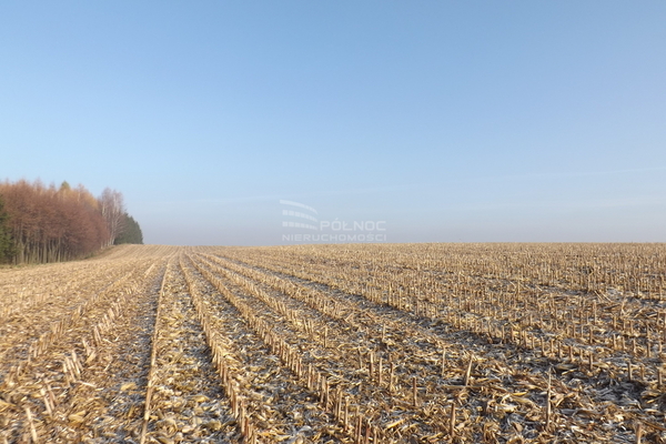 Działka 10308 m2 w OSIEK