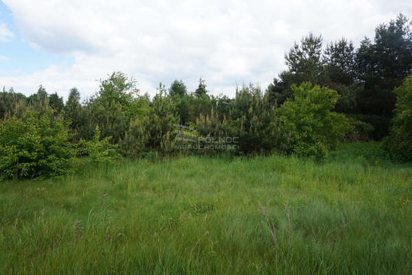 Działka 2500 m2 w DOBROŃ