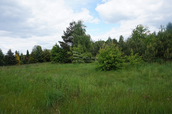 Działka 2500 m2 w DOBROŃ