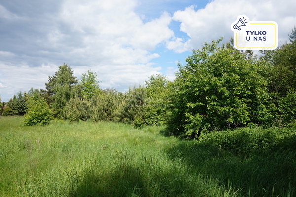 Działka 2500 m2 w DOBROŃ