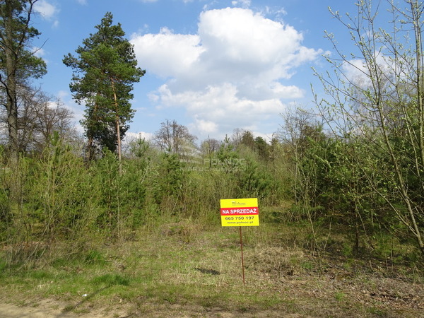 Działka 14300 m2 w JANÓW PODLASKI