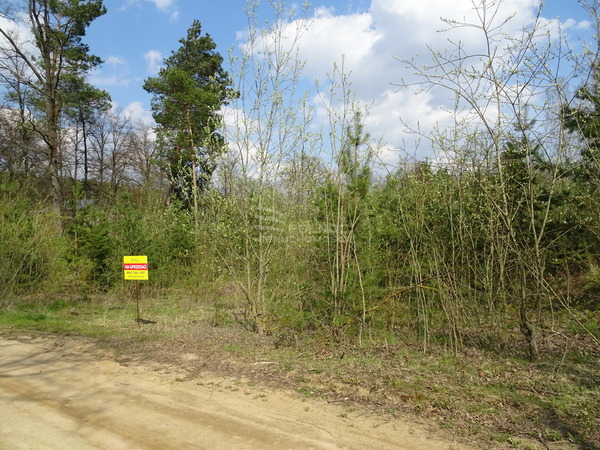 Działka 14300 m2 w JANÓW PODLASKI