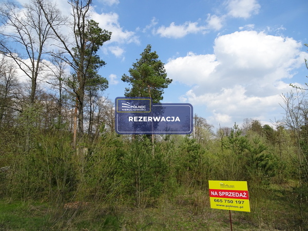 Działka 14300 m2 w JANÓW PODLASKI