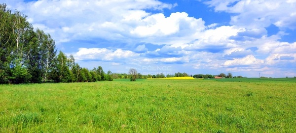 Działka 3043 m2 w DŹWIERZUTY