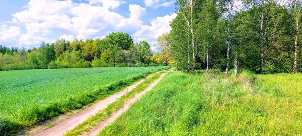 Działka 3043 m2 w DŹWIERZUTY