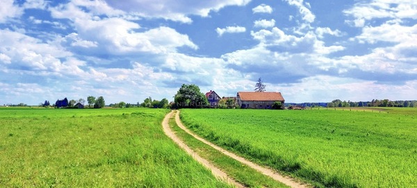 Działka 3043 m2 w DŹWIERZUTY