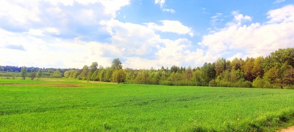 Działka 3043 m2 w DŹWIERZUTY