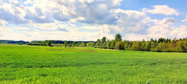 Działka 3043 m2 w DŹWIERZUTY