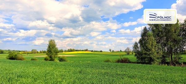 Działka 3043 m2 w DŹWIERZUTY