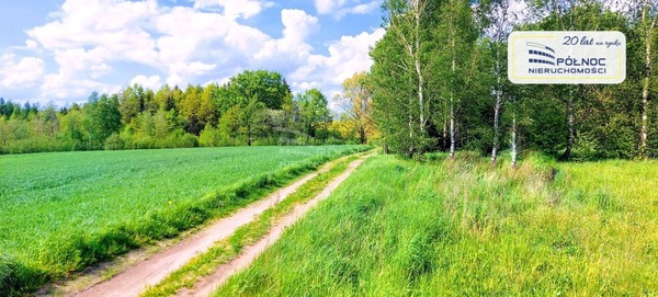 Działka 3001 m2 w DŹWIERZUTY