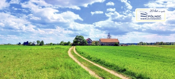 Działka 3001 m2 w DŹWIERZUTY