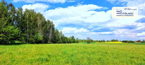 Działka 3001 m2 w DŹWIERZUTY