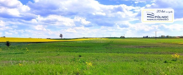 Działka 3001 m2 w DŹWIERZUTY