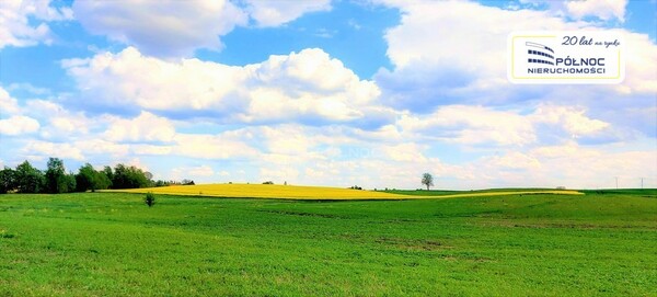 Działka 3001 m2 w DŹWIERZUTY