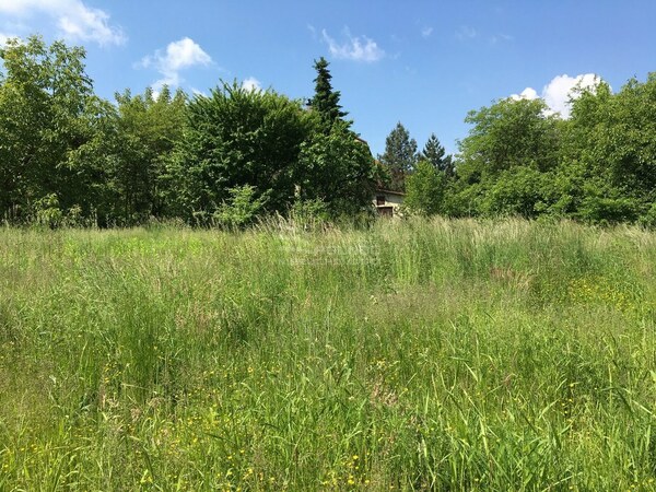 Działka 700 m2 w NOWY WIŚNICZ