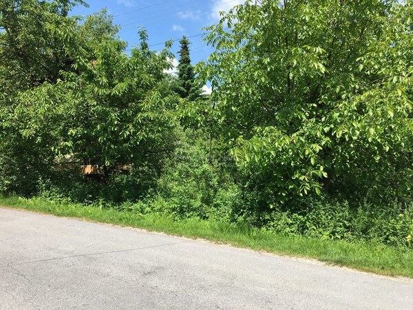 Działka 700 m2 w NOWY WIŚNICZ