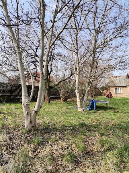 Działka 2555 m2 w KONSTANCIN-JEZIORNA