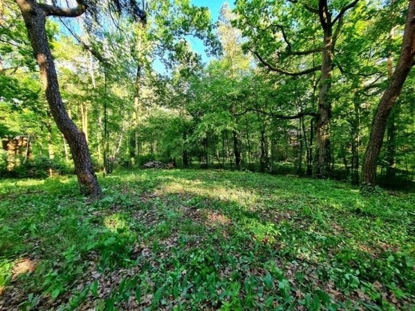Działka 1981 m2 w PODKOWA LEŚNA