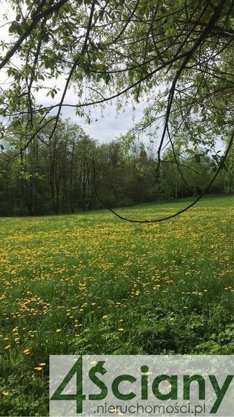 Działka 3300 m2 w SŁUPNO