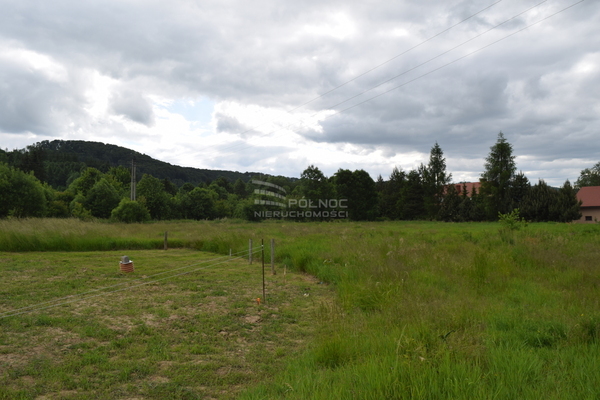 Działka 1519 m2 w KŁODZKO