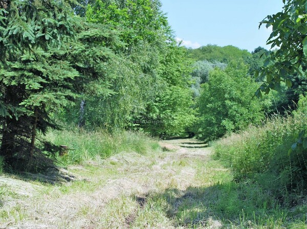 Działka 6800 m2 w BRZESKO