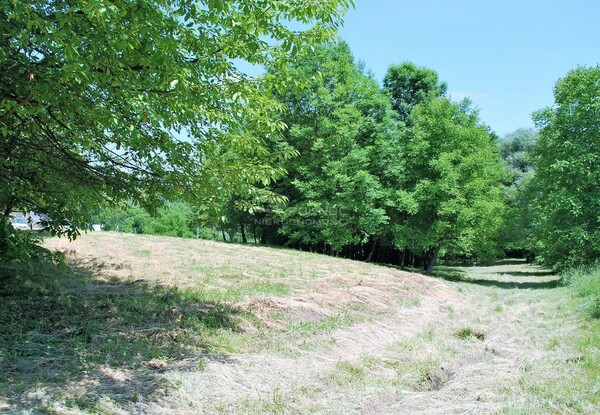 Działka 6800 m2 w BRZESKO