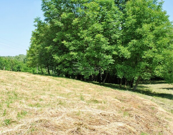 Działka 6800 m2 w BRZESKO