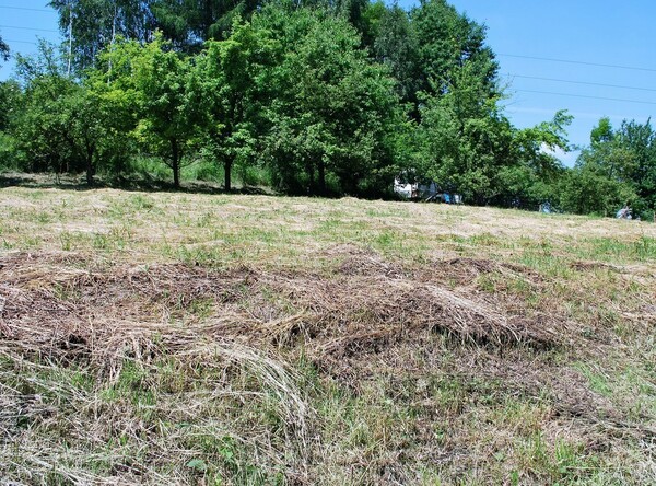 Działka 6800 m2 w BRZESKO