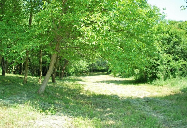 Działka 6800 m2 w BRZESKO