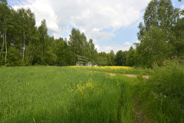 Działka 1733 m2 w GÓRNO