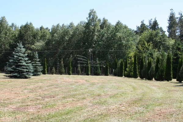 Działka 1177 m2 w DOBRYSZYCE