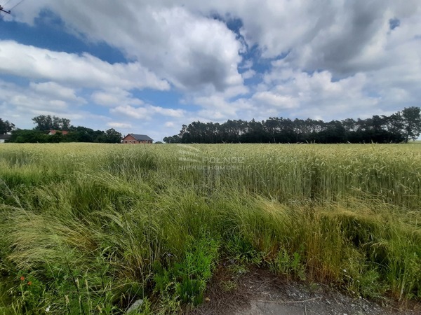 Działka 1000 m2 w DALIKÓW