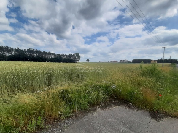 Działka 1000 m2 w DALIKÓW