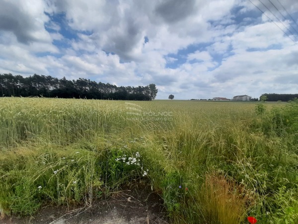 Działka 1000 m2 w DALIKÓW