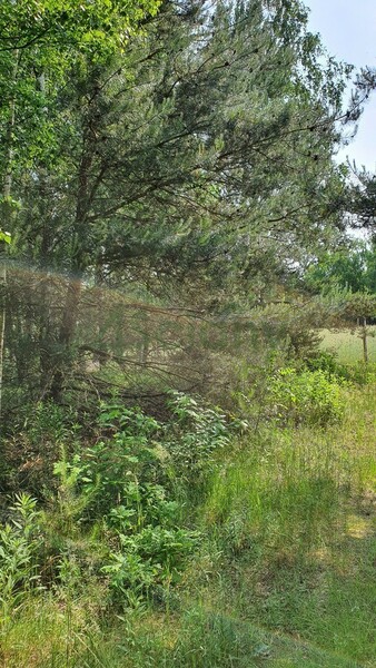 Działka 2921 m2 w LESZNO