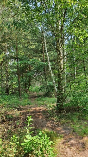 Działka 2921 m2 w LESZNO