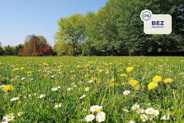 Działka 750 m2 w LUBICZ