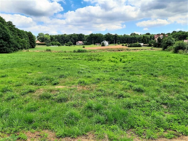 Działka 5045 m2 w GODÓW