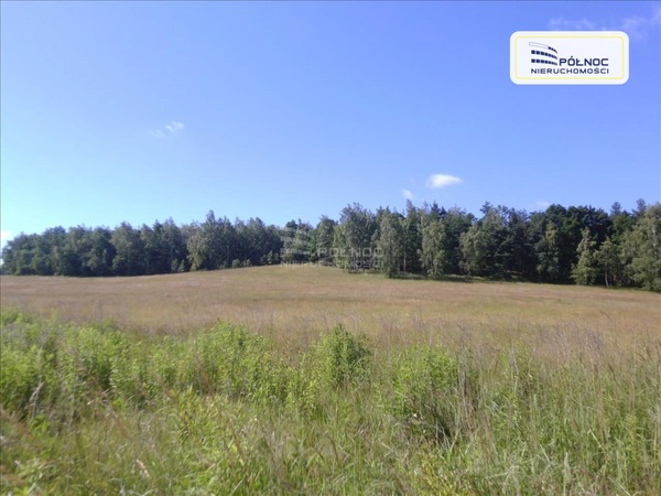 Działka 1819 m2 w CHOJNÓW