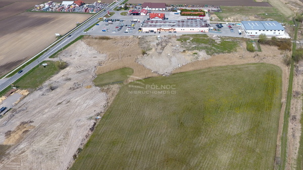 Działka 12150 m2 w PROSZOWICE