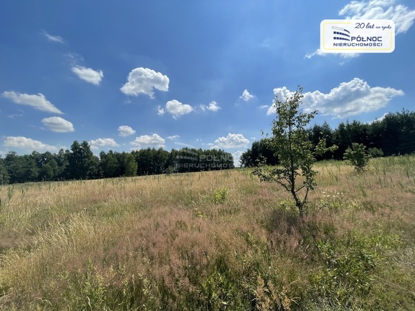 Działka 1279 m2 w BEŁCHATÓW